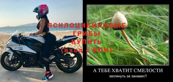 MESCALINE Богородск