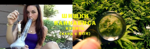 бутират Богданович