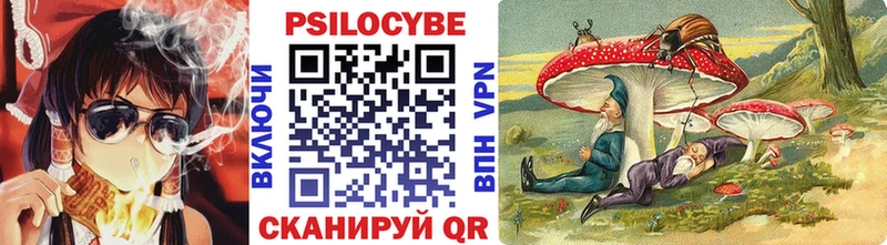 Галлюциногенные грибы GOLDEN TEACHER  где купить наркоту  KRAKEN как зайти  Щигры 